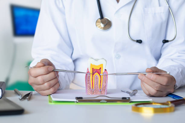 Best Emergency Tooth Extraction in Pine Grove Mills, PA